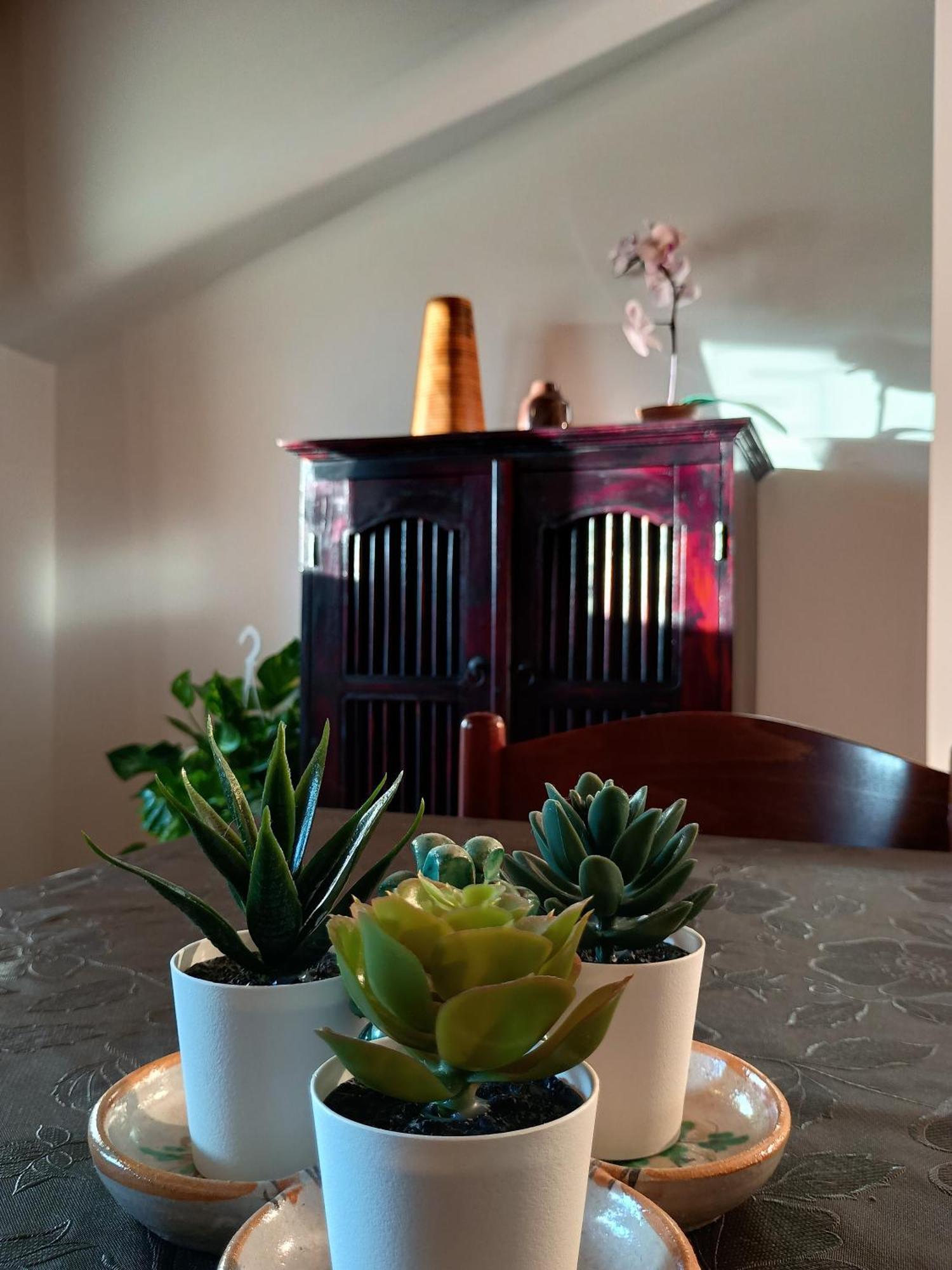 Villa Marysa Studio Apartment จีอาร์ดีนี นักซอส ภายนอก รูปภาพ